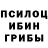 Псилоцибиновые грибы Cubensis TylerFoxtrot