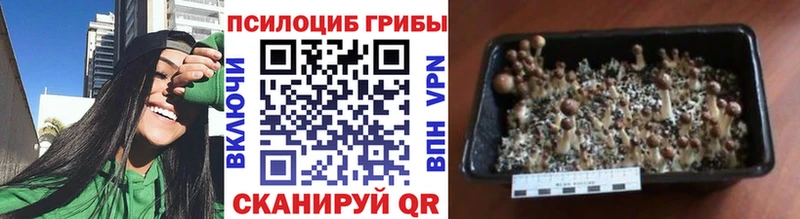 Галлюциногенные грибы мицелий  Шахты 